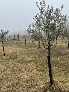 Photo de Dagmar Angst le long du parcours