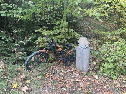 Foto von firebird 93 entlang der Tour