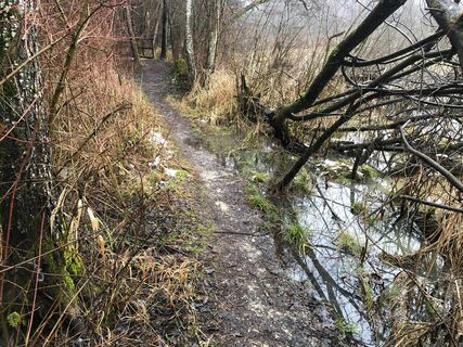 Nahe am Wasser