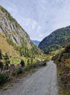 Photo de Rottiman le long du parcours