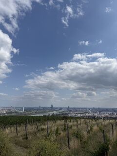 Foto da Olena Duriagina lungo il tour
