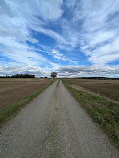 Foto de Marko Xxx a lo largo del recorrido