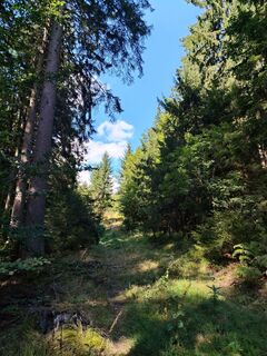 Photo de Bergkater le long du parcours