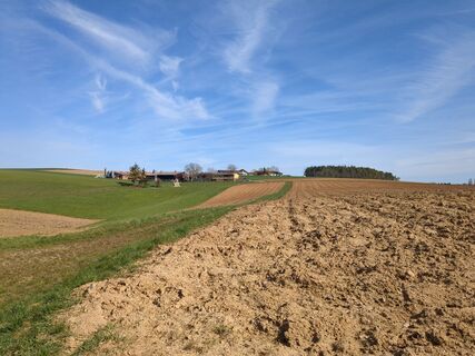 Foto von Gabriele entlang der Tour