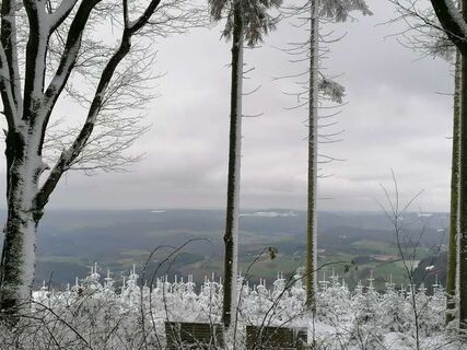 Toller Platz für eine Rast, in der Nähe des Gipfelkreuzes Bastenberg