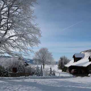 Schwantenbuch - Winterwanderung Riffenmatt