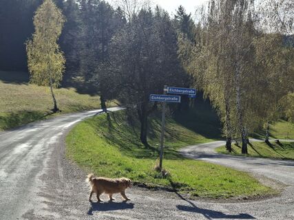 Fotografia z Rob Woll na trase