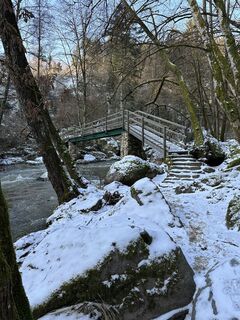 Foto van Babs Holz langs de tour
