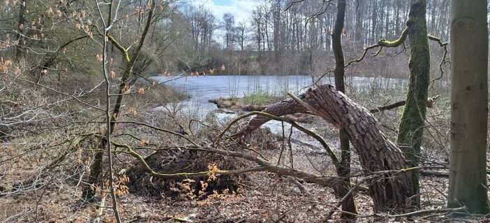 Foto von Karin-Wandert entlang der Tour