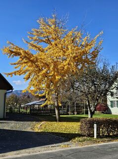 Foto da Franz Russ lungo il tour