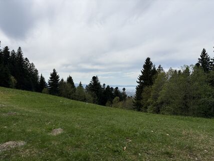 Foto von Elke Kulmitzer entlang der Tour