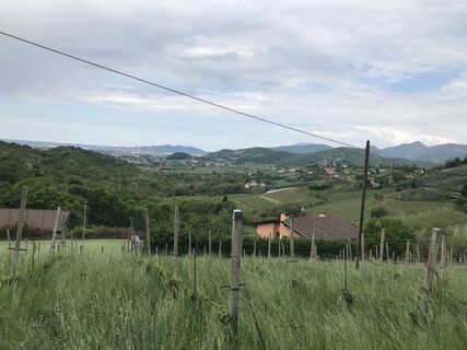 Foto de Angelo Austoni a lo largo del recorrido