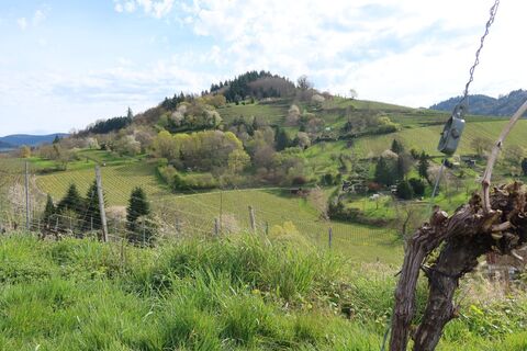 Zdjęcie z Christiane Schütz wzdłuż trasy