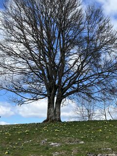 Photo from Ursula Buri along the tour