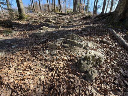 Zdjęcie z Peter Zbončák wzdłuż trasy