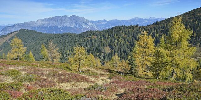 Blick von der Gumpenalm