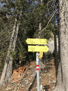 Foto från Daniel Reichsthaler under resans gång