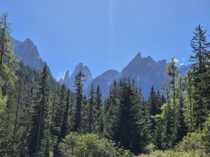 Foto de Coma a lo largo del recorrido