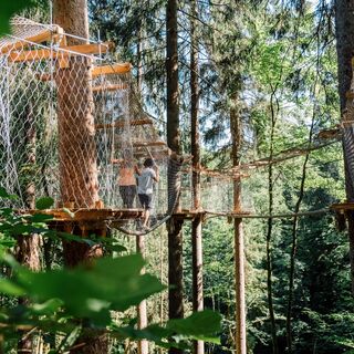 JOsalzburg-baumparcours