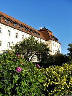 Wald Klosteransicht