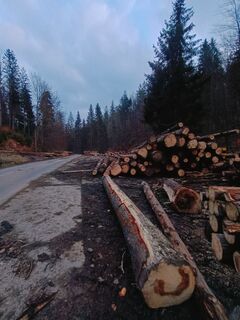 Fotó a Romek Dwornik honlapról a túra során
