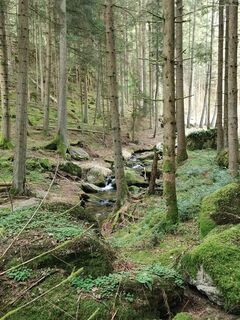 Foto de Michael Leisser a lo largo del recorrido