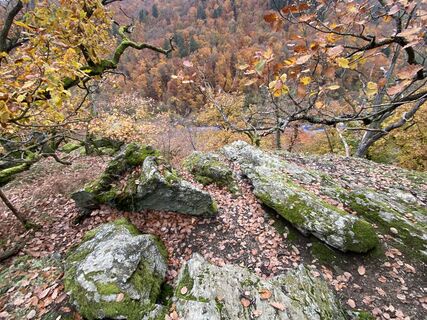 Kuva osoitteesta Arthur Muskalla matkan varrella