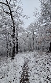 Photo de János Zsolt Mahr le long du parcours