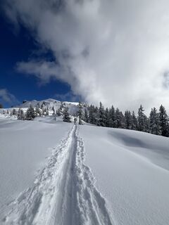 Foto von Peter Elshuber entlang der Tour