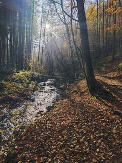 Фото с сайта Björn Heun во время экскурсии