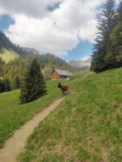 Photo de Delpyalain73 le long du parcours