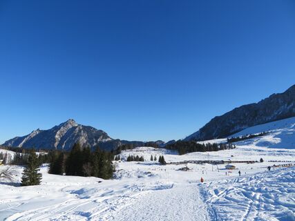 Labenberg mit Dachsteinblick