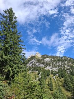 Fotografie de la Maurer Silvia de-a lungul turului