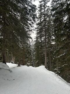 Foto von Michael Pink entlang der Tour