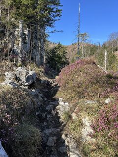 Foto von Guenther0702 entlang der Tour