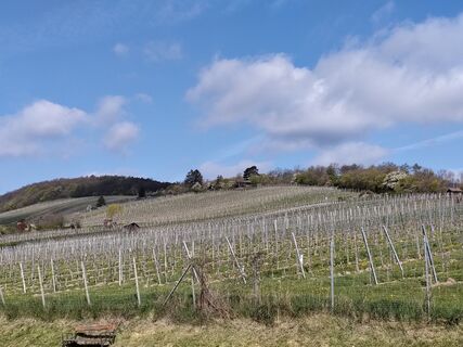 Fotografie z Poschacher na trase