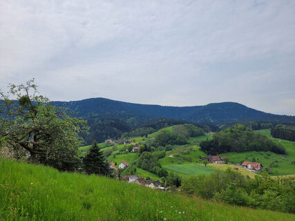 Toller Panoramablick