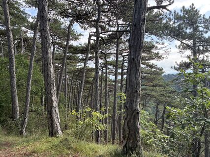 Foto von Martin1967 entlang der Tour