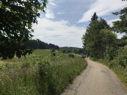 Auf der Escheck