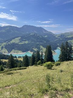 Fotografija s spletne strani Martin Reinhard na poti