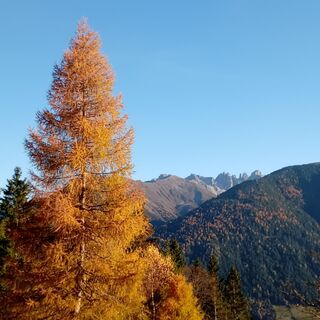 Fotografia z Mike Pritchard na trase