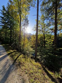 Fotografie z Pernkopf na trase