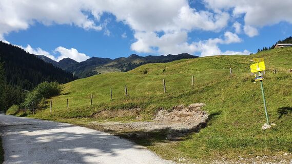 Fotografia z Gerrit van der Linde na trase