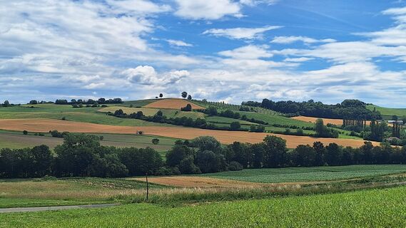Foto von Susi Puhl entlang der Tour