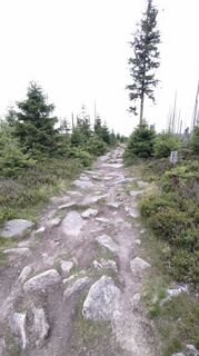 Foto von rumimi entlang der Tour