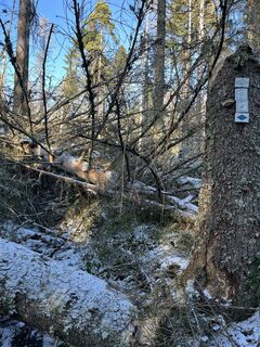 Fotografie z Simon Seiffer na trase