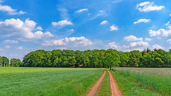 Feldweg in Richtung Delventhal