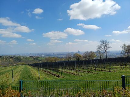 Foto von Martin Bartunek entlang der Tour