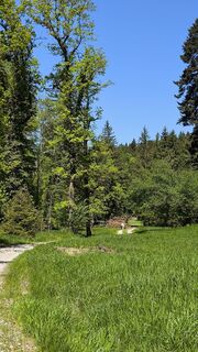 Photo de Adi Lechner le long du parcours