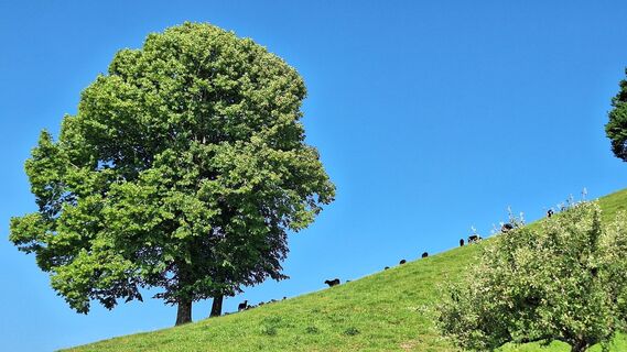 Fotografia z Gerhard Edermayer na trase